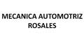Mecanica Automotriz Rosales logo