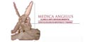Medica Angelus logo