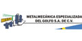 Megsa logo