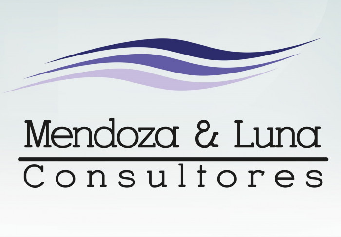Mendoza & Luna Consultores SC logo