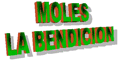 MOLES LA BENDICION logo