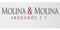 Molina & Molina Abogados Sc