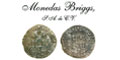 Monedas Briggs Sa De Cv logo