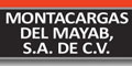Montacargas Del Mayab Sa De Cv logo