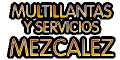 MULTILLANTAS Y SERVICIOS MEZCALEZ