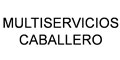 Multiservicios Caballero