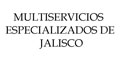 Multiservicios Especializados De Jalisco logo