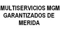 Multiservicios Mgm Garantizados De Merida logo