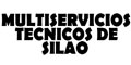 Multiservicios Tecnicos De Silao logo