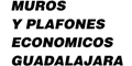 Muros Y Plafones Economicos De Guadalajara logo
