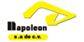 NAPOLEON SA DE CV logo