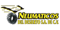 NEUMATICOS DEL DESIERTO logo