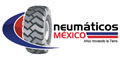 Neumaticos Mexico logo
