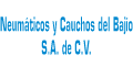 NEUMATICOS Y CAUCHOS DEL BAJIO SA DE CV logo