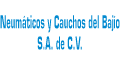 NEUMATICOS Y CAUCHOS DEL BAJIO SA DE CV