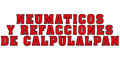 NEUMATICOS Y REFACCIONES DE CALPULALPAN logo
