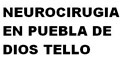 Neurocirugia En Puebla De Dios Tello logo