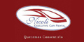 Nicoli Executive Car Rental logo