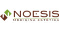 Noesis logo