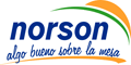 Norson logo