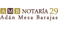 Notaria Publica 29 logo