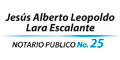 Notario Publico N 25 logo