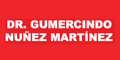 NUÑEZ MARTINEZ GUMERSINDO DR logo