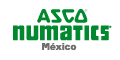 NUMATICS DE MEXICO SA DE CV. logo