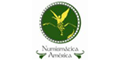 NUMISMATICA AMERICA logo