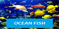 Ocean Fish logo