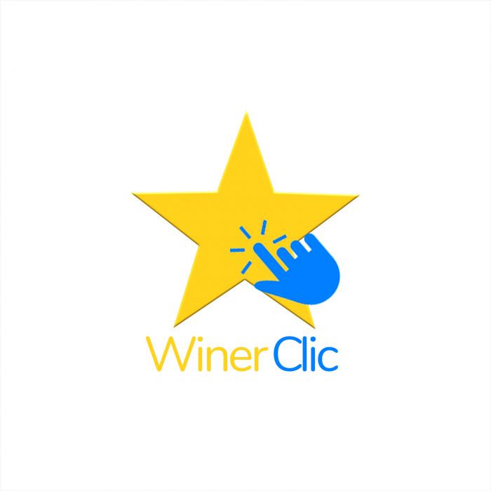 Páginas Web En Toluca - Winer Clic logo