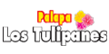 PALAPA LOS TULIPANES logo