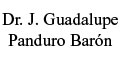 PANDURO B J GUADALUPE DR logo