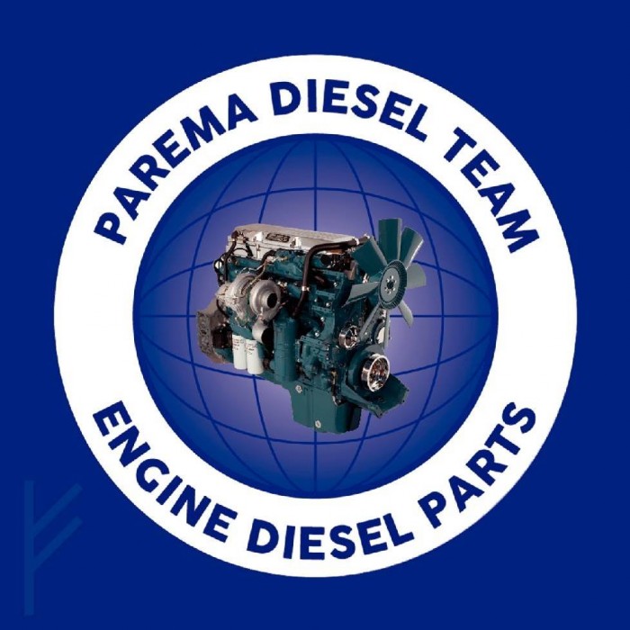Parema Diesel Team, S.A. de C.V. logo