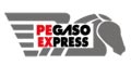 PEGASO EXPRESS logo
