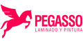 Pegasso Laminado Y Pintura