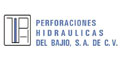 Perforaciones Hidraulicas Del Bajio Sa De Cv logo