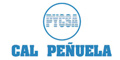 Peñuela Y Contadero Sa De Cv logo