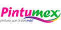 Pintumex logo