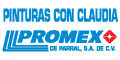 Pinturas Con Claudia Promex De Parral Sa De Cv logo