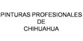 Pinturas Profesionales De Chihuahua logo