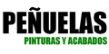 Pinturas Y Acabados Peñuelas logo