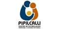 Pipilcalli Centro De Estimulacion Temprana Y Ballet