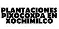 Plantaciones Pixocoxpa En Xochimilco