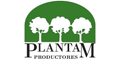 Plantam