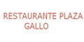 PLAZA GALLO logo