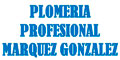 Plomeria Profesional Marquez Gonzalez