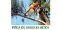 Poda De Arboles Altos logo