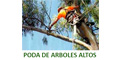 Poda De Arboles Altos