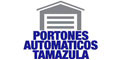 Portones Automaticos Tamazula